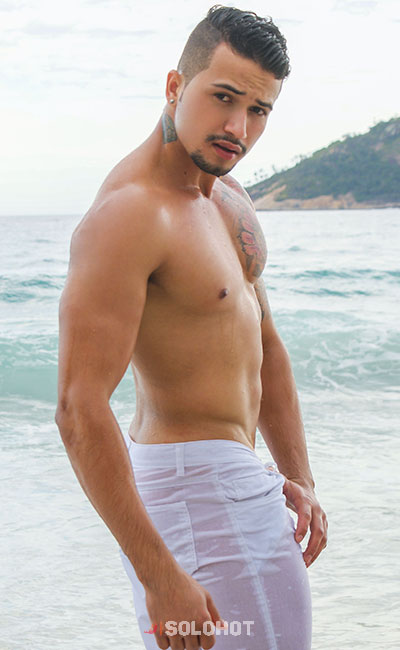modelo perfil
